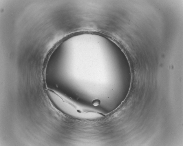 X0000088841168200706281814