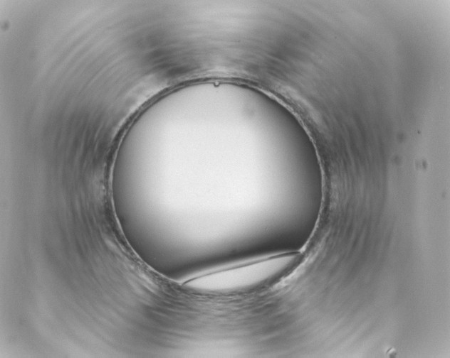 X0000088841170200706281814