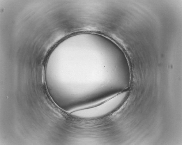 X0000088841171200706281814