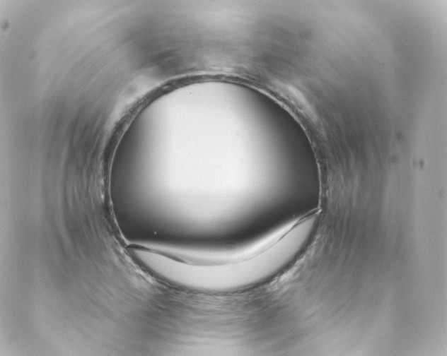 X0000088841172200706281814