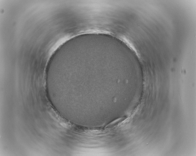 X0000088841173200706281814