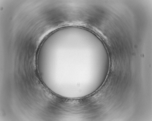 X0000088841174200706281814