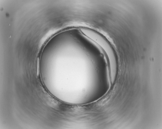 X0000088841175200706281814