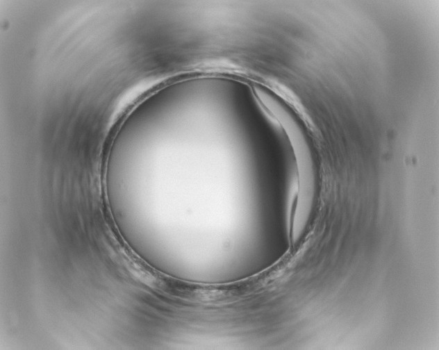 X0000088841176200706281814