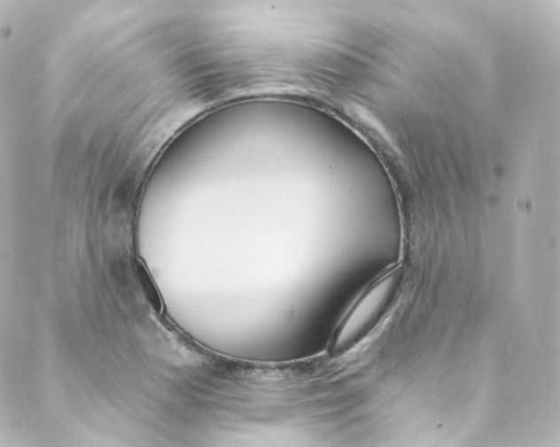 X0000088841177200706281814