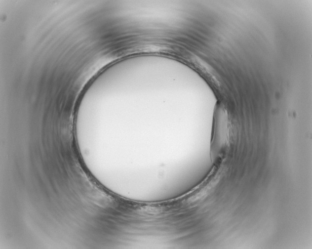 X0000088841178200706281814