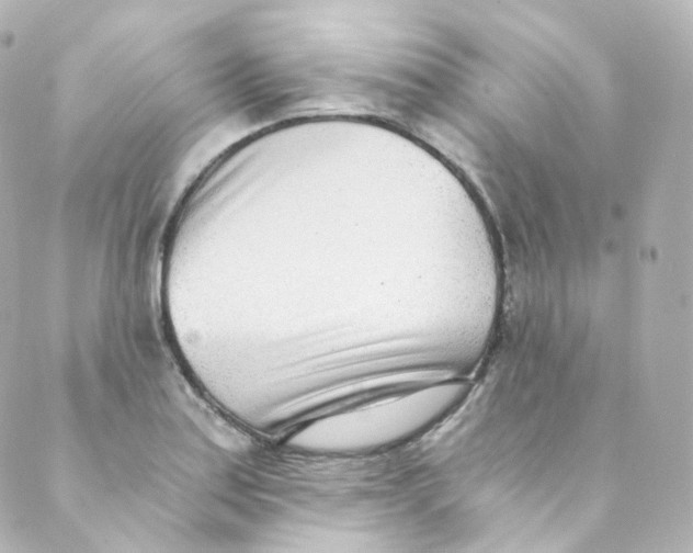 X0000088841179200706281814