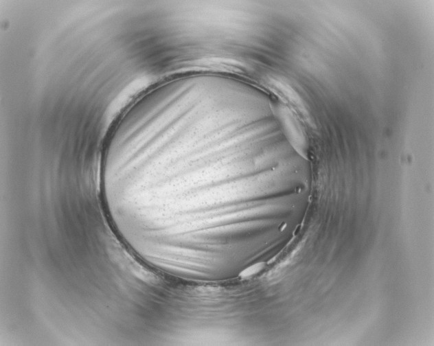 X0000088841180200706281814