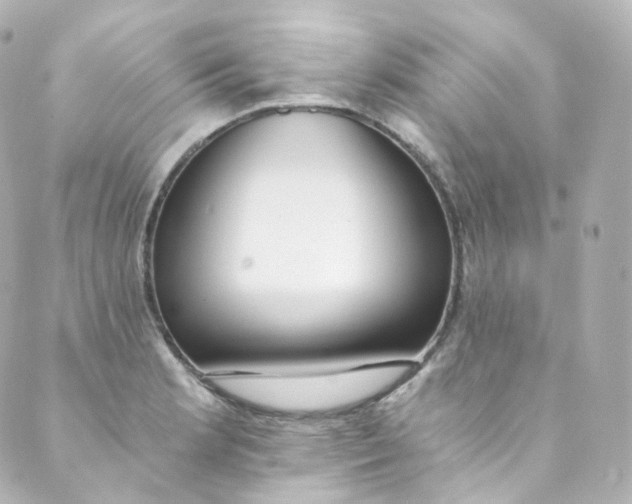 X0000088841181200706281814