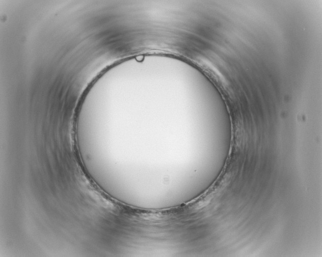 X0000088841182200706281814