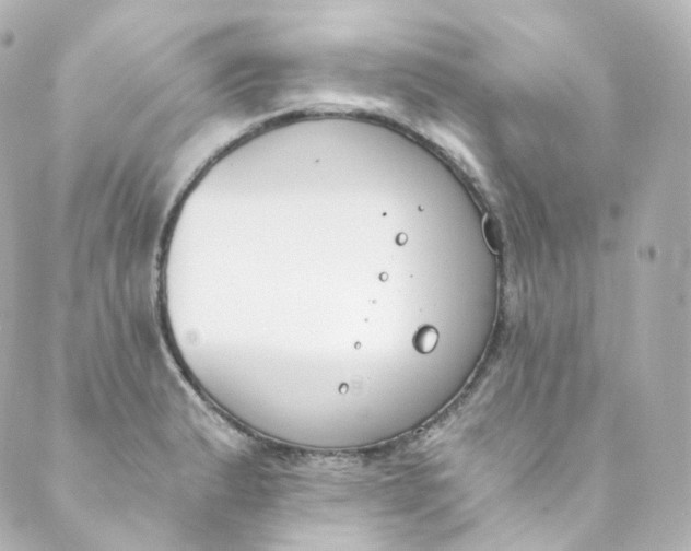 X0000088841183200706281814