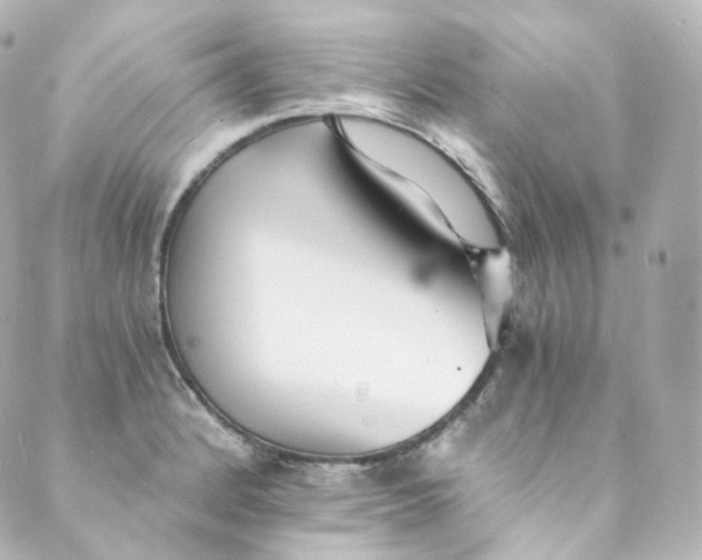 X0000088841184200706281814