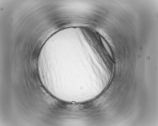 X0000088841185200706281814