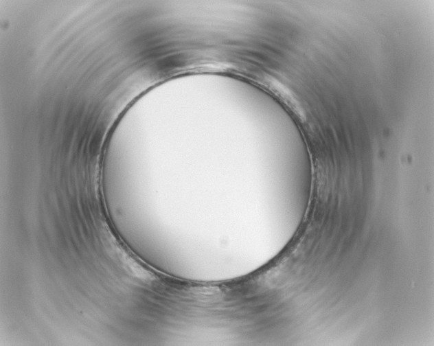 X0000088841186200706281814