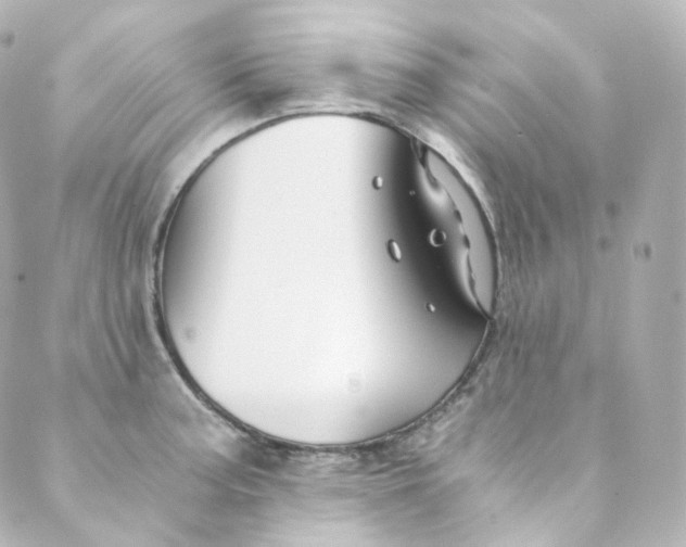 X0000088841187200706281814