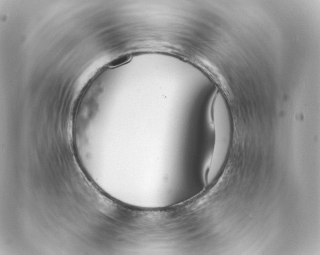 X0000088841188200706281814