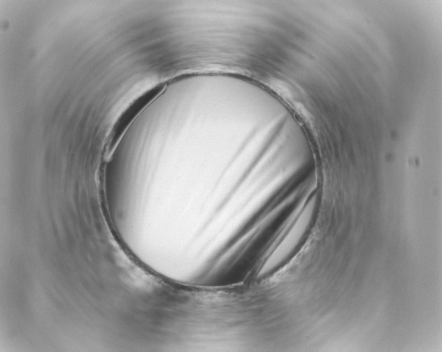 X0000088841189200706281814