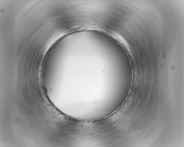 X0000088841190200706281814