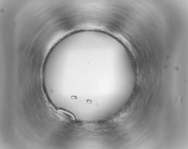 X0000088841191200706281814