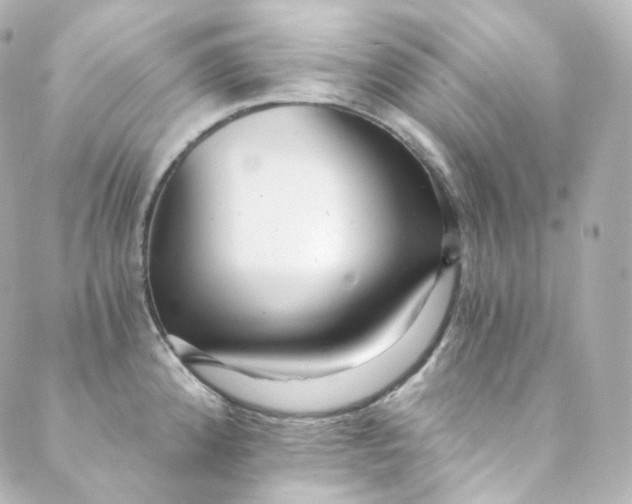 X0000088841192200706281814