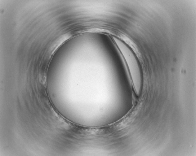 X0000088841193200706281814