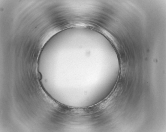 X0000088841194200706281814