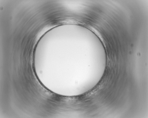 X0000088841195200706281814