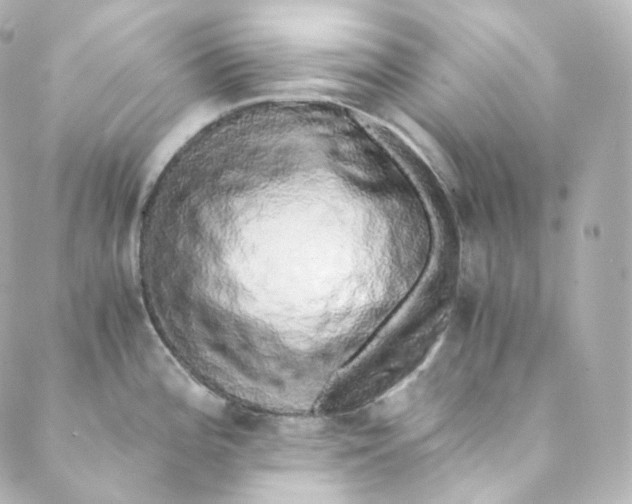 X0000088841196200706281813