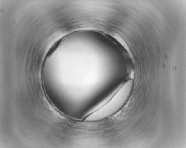 X0000088841197200706281813