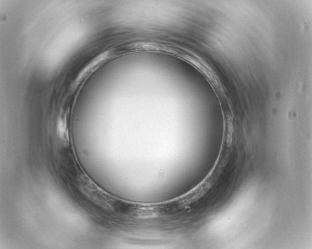 X0000088841198200706281813