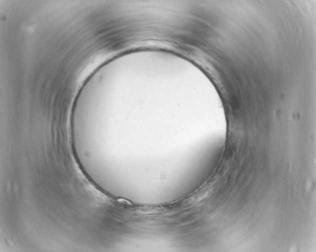 X0000088841199200706281813