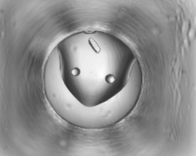 X0000088841200200706281813