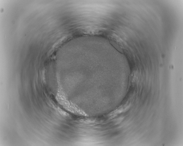 X0000088841202200706281813