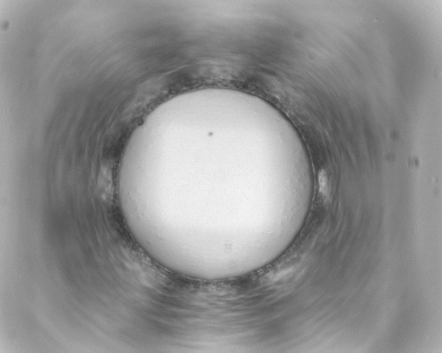 X0000088841203200706281813