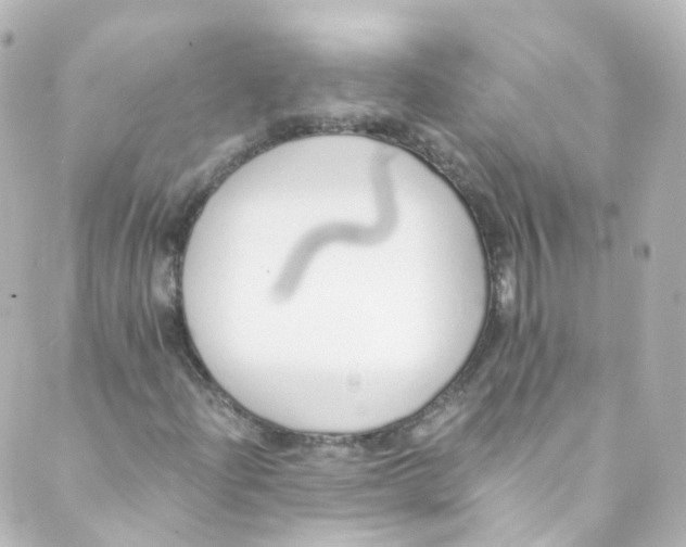 X0000088841204200706281813