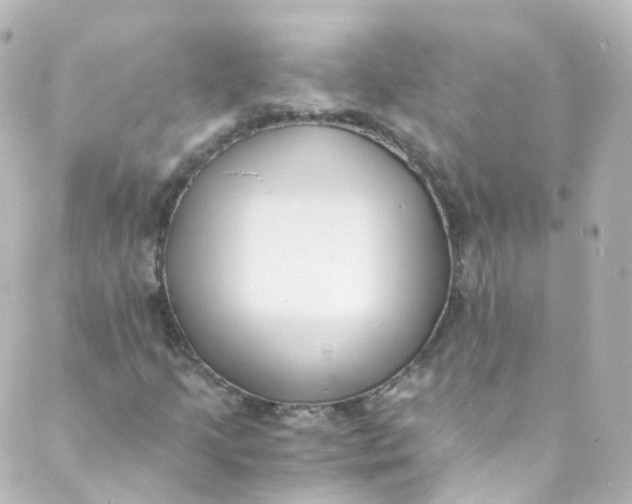 X0000088841205200706281813