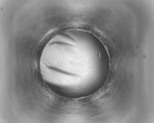 X0000088841206200706281813