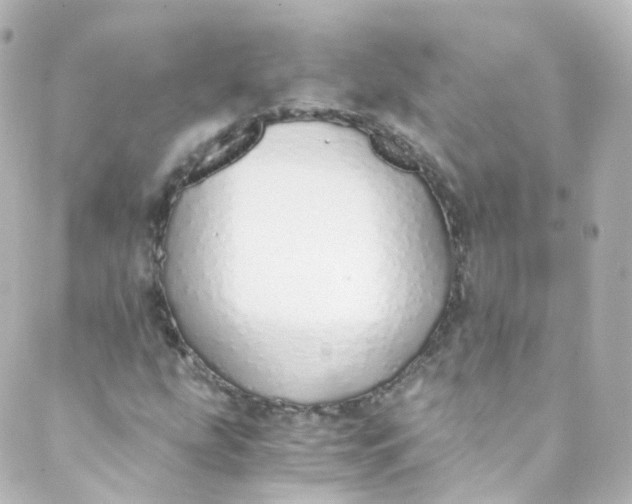 X0000088841207200706281813