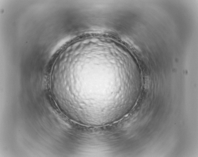 X0000088841208200706281813