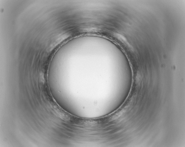 X0000088841209200706281813