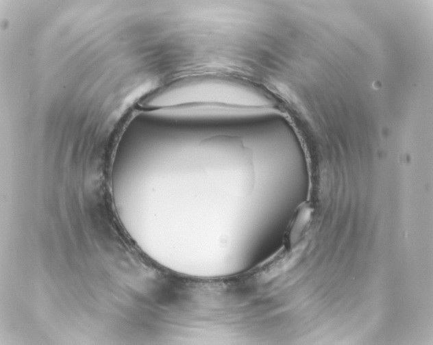 X0000088841210200706281813