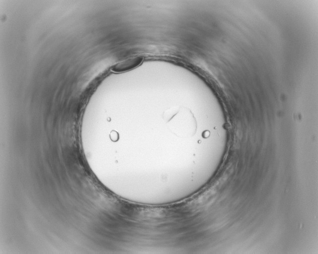 X0000088841211200706281813