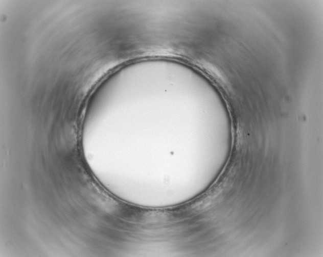 X0000088841212200706281813