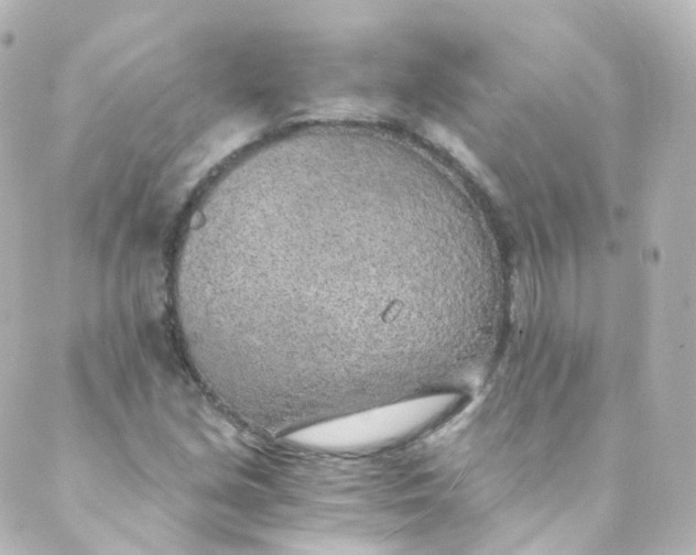 X0000088841213200706281813