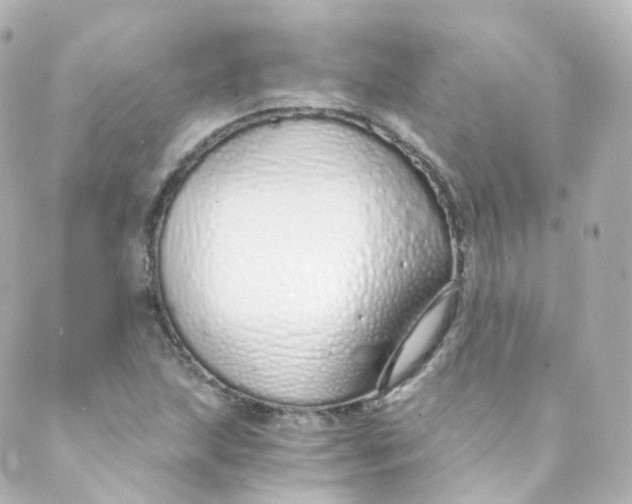 X0000088841215200706281813