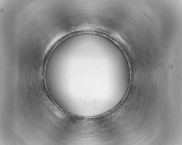 X0000088841216200706281813