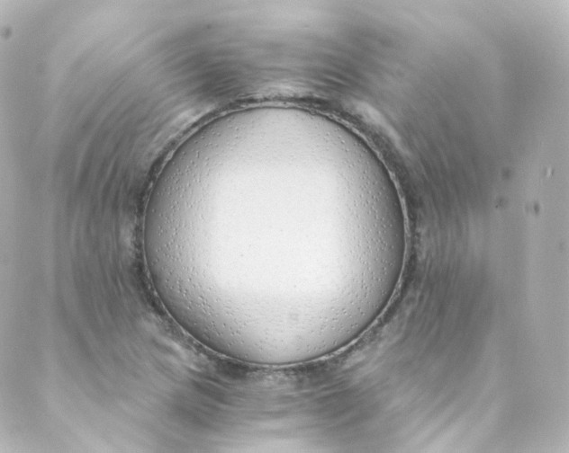 X0000088841217200706281813