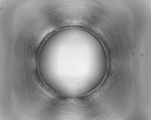 X0000088841218200706281813