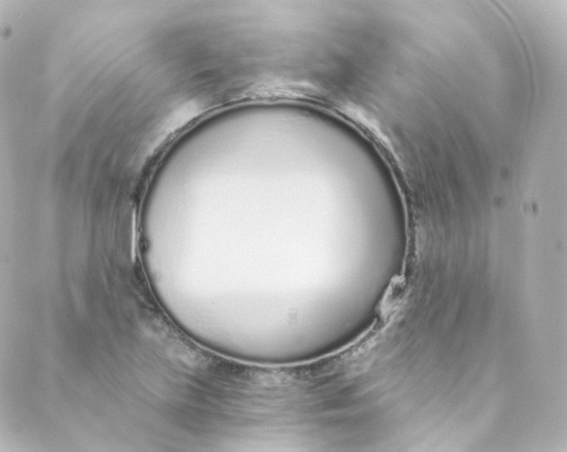 X0000088841219200706281813