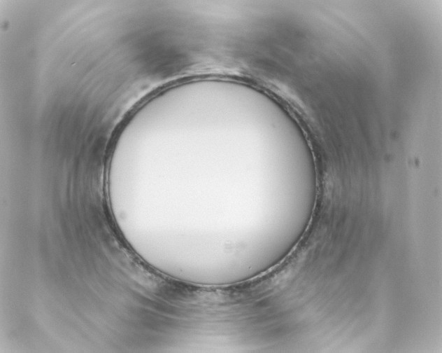 X0000088841220200706281813